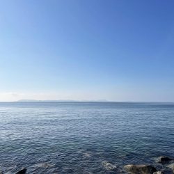 苅谷波止で何が釣れるか初釣行 一応キス狙い!